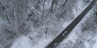 冰风暴后驾车穿过森林