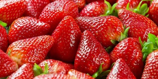 新鲜草莓特写