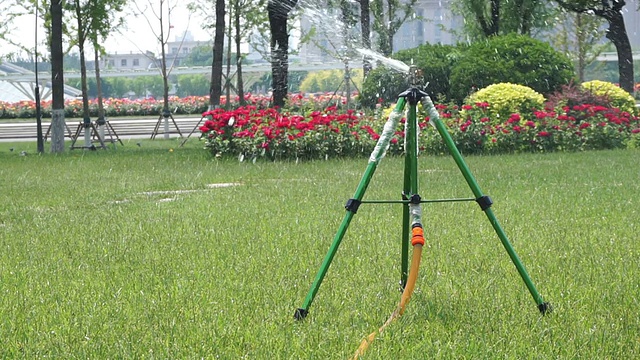 sprinkler在白天给公园草坪浇水