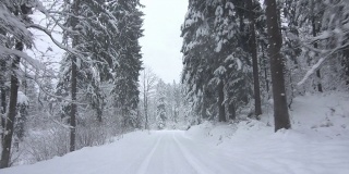 开车穿过积雪的森林