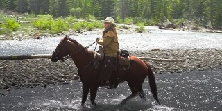 女牛仔和其他牛仔一起骑马过河