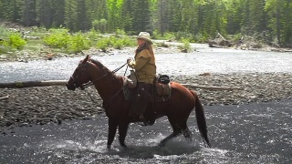 女牛仔和其他牛仔一起骑马过河视频素材模板下载