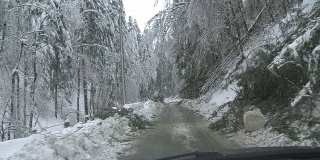 冰风暴后驾车穿过森林