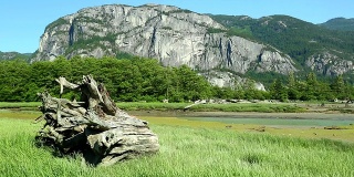 Stawamus Chief Provincial Park Squamish