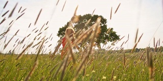 快乐的女孩赤脚在草地上奔跑