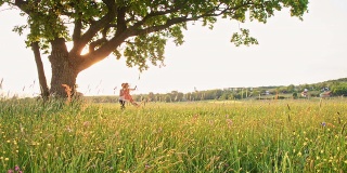 SLO MO女人推着女孩在草地上荡秋千