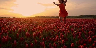 SLO MO女孩跑在深红色三叶草的田野