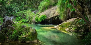 古巴热带雨林中的天然泳池