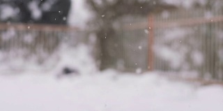 HD SUPER SLOW-MO: Snowfall