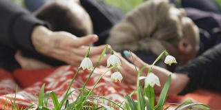 高清多莉:躺在草地上的夫妇