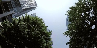 绿色建筑——仰望天空