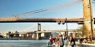 布鲁克林大桥和海湾