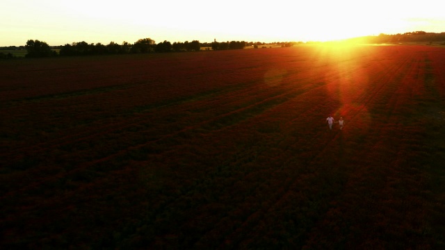 空中情侣在夕阳下牵着手跑步