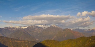 雪山景观和松树林