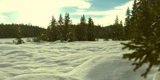 田园诗般的冬天场景