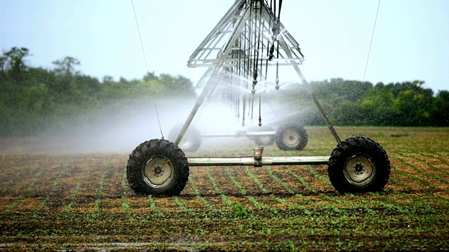 灌溉喷灌器在耕地上。