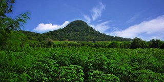 青山绿野