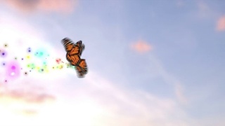蝴蝶与特定视频素材模板下载