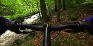 山地自行车穿过绿色森林POV
