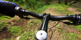山地自行车穿过绿色森林POV