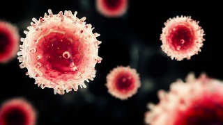 T细胞或病毒漂浮在红色区域视频素材模板下载