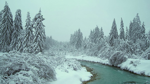 绿松石河与树在雪
