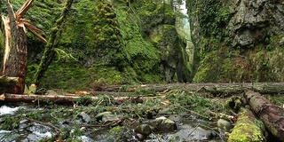 高山流水