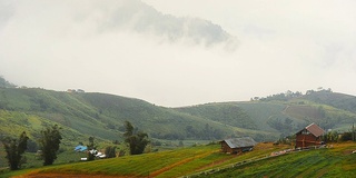 山,雾。/泰国碧差汶省公园府，雨季。