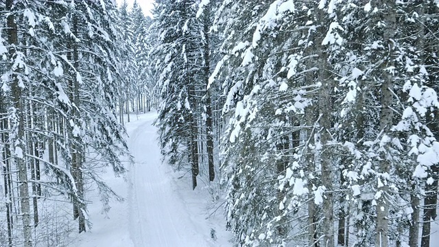 航拍积雪的森林道路