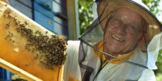 HD超级慢动作:蜂巢的养蜂人