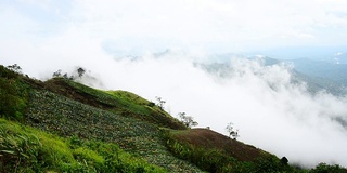 山,雾。/泰国碧差汶省公园府，雨季。