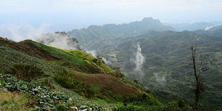 山,雾。/泰国碧差汶省公园府，雨季。