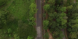 森林中道路的鸟瞰图