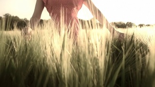 超慢莫:女人在田里抚摸小麦视频素材模板下载