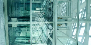 未来主义建筑中的电梯