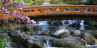 有桥和瀑布的日本花园