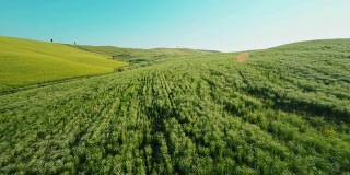 空中的土路沿着托斯卡纳的草地
