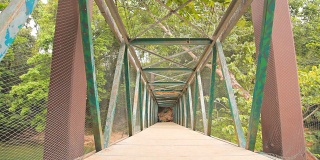 HD多莉:在森林和山前面的桥。