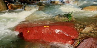 急流的红色岩石