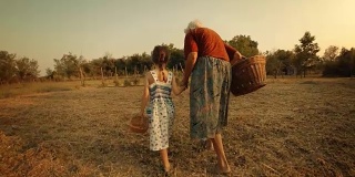 POV，用户生成内容。一个小女孩向她的祖母学习如何摘西红柿。真实的人，乡村场景，。镜头光晕，特殊角度，GoPro。