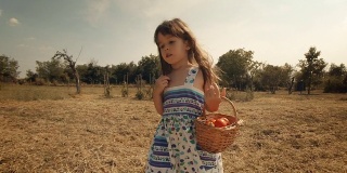POV，用户生成内容。一个小女孩学习如何摘西红柿。真实的人，乡村场景，。镜头光晕，特殊角度，GoPro。