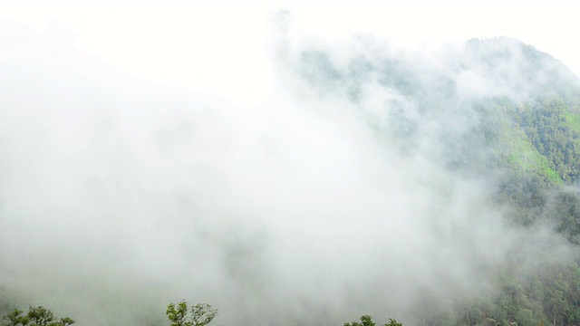 在雨季，高山被浓雾所覆盖