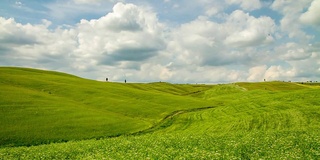 绿色田野上美丽的云景