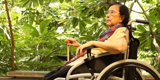 坐在轮椅上的亚洲成年女性