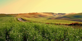 DS Dirt road among hilly countryside in Tuscany