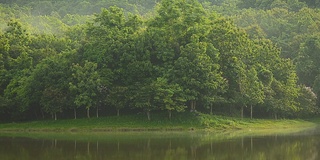 淘洗:早晨的水库湖，水面有薄雾