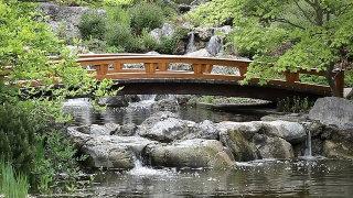 带桥的日式花园视频素材模板下载