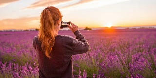 年轻的女游客在日落时拍摄薰衣草田的照片