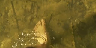 赤脚在湖水中行走