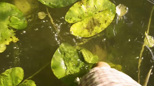 赤脚在湖水中行走